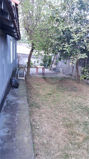 Foto REO1114439