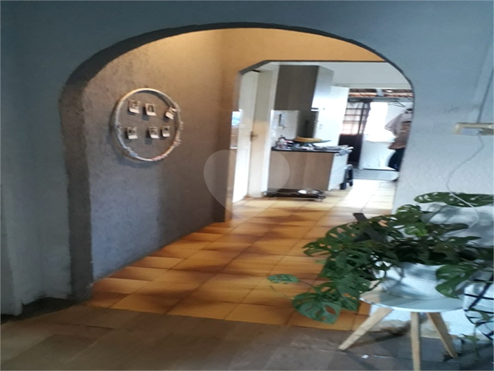 Foto REO1114439