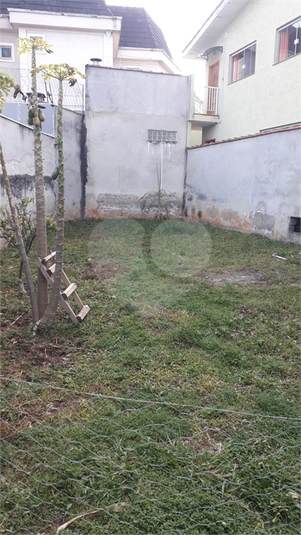 Foto REO1114439