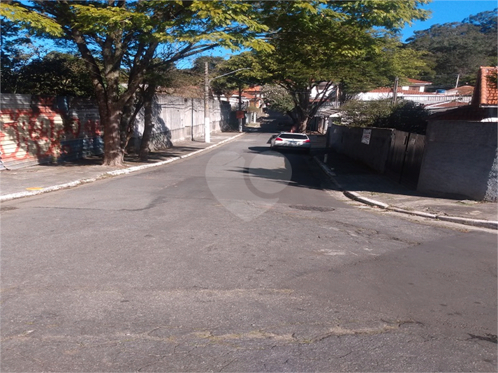 Foto REO1114439
