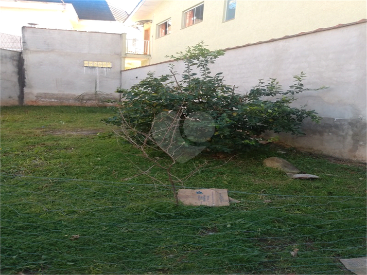 Foto REO1114439