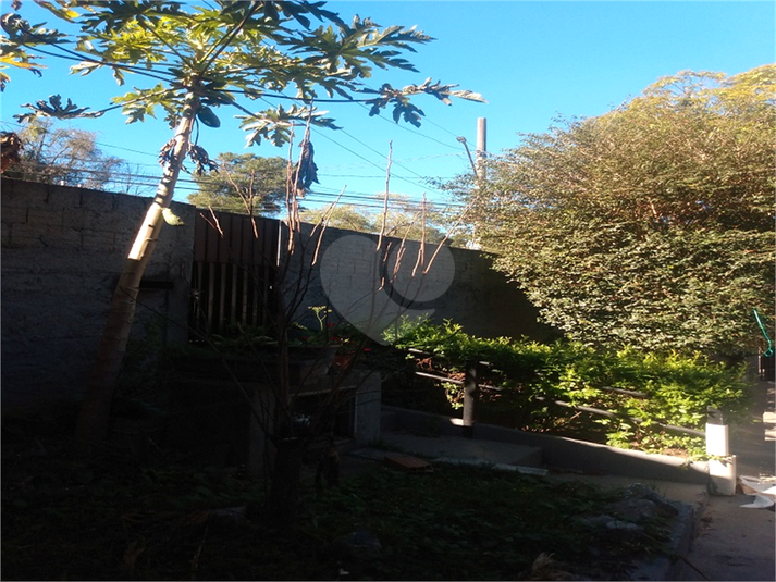 Foto REO1114439