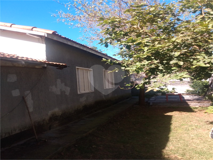 Foto REO1114439