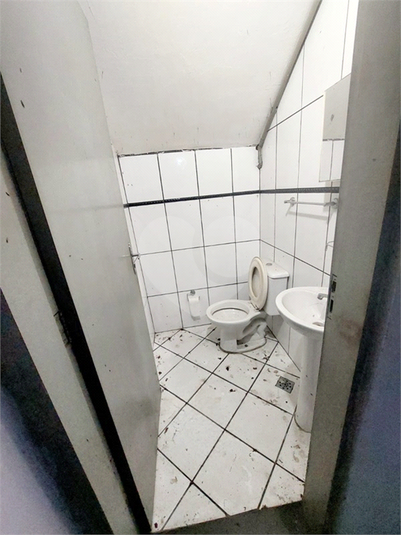 Foto REO1114440