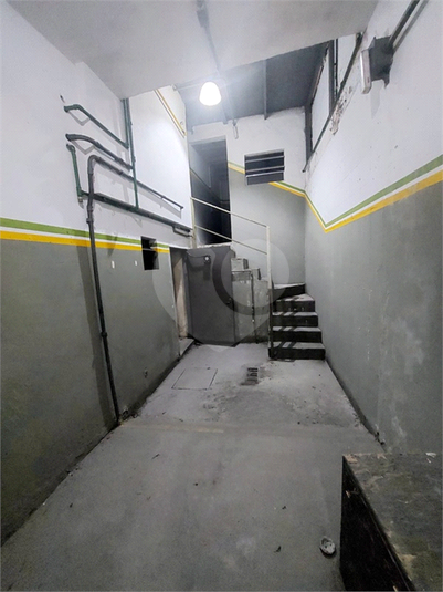 Foto REO1114440