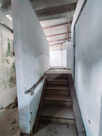 Foto REO1114440