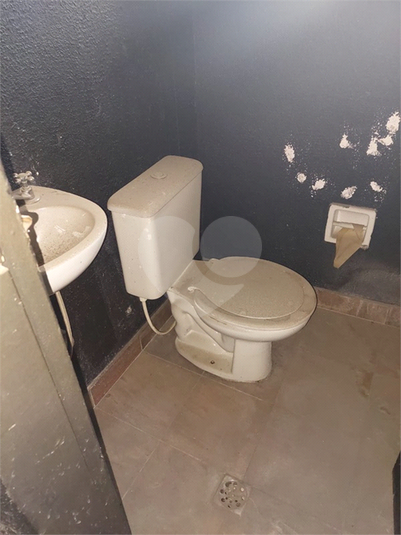 Foto REO1114440