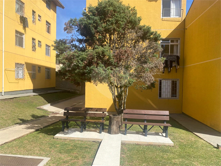 Foto REO1114447