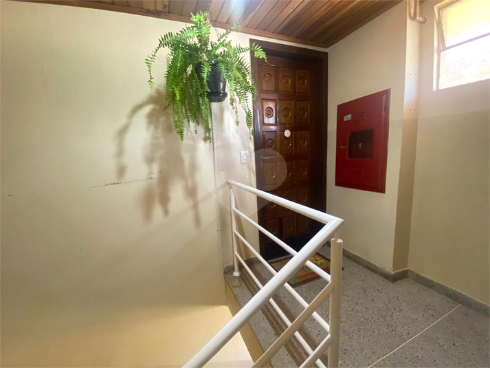 Foto REO1114447
