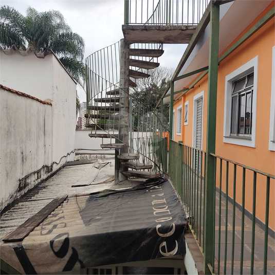 Foto REO1114449