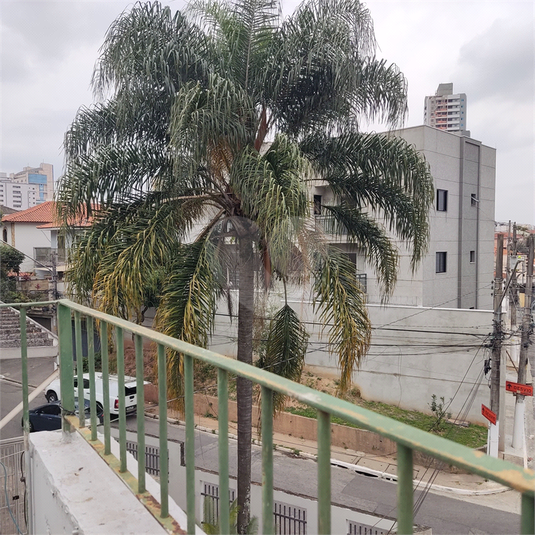 Foto REO1114449