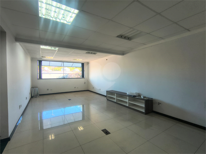 Foto REO1114452