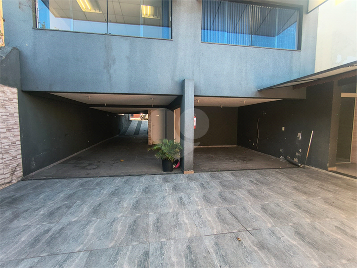 Foto REO1114452