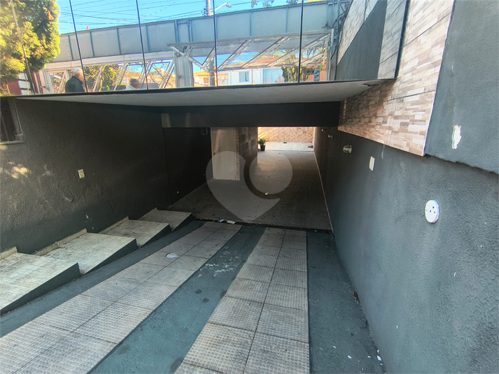Foto REO1114452
