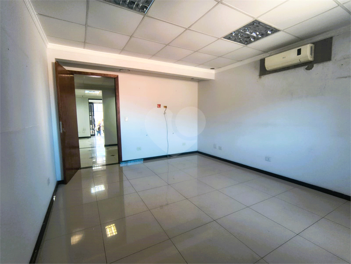 Foto REO1114452