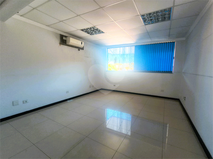 Foto REO1114452