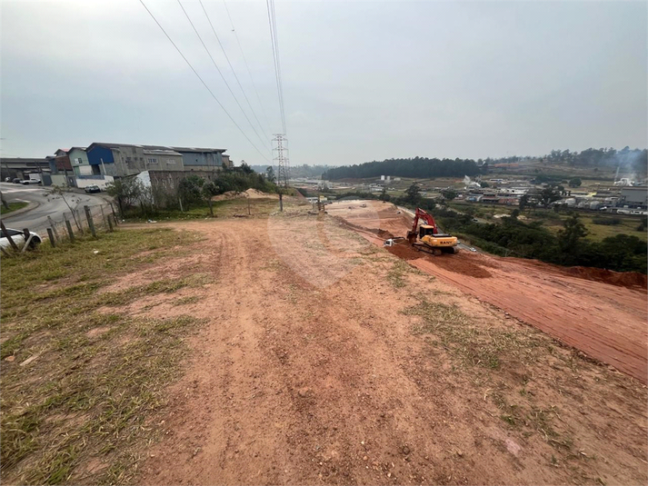 Foto REO1114466