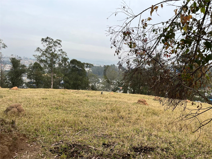 Foto REO1114466