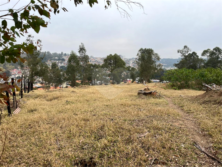 Foto REO1114466