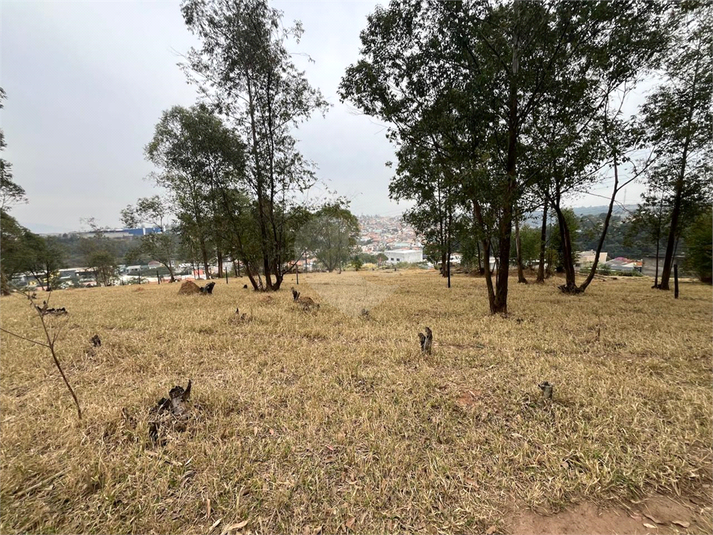 Foto REO1114466
