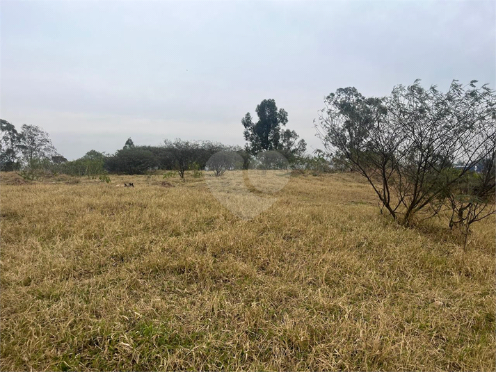 Foto REO1114466