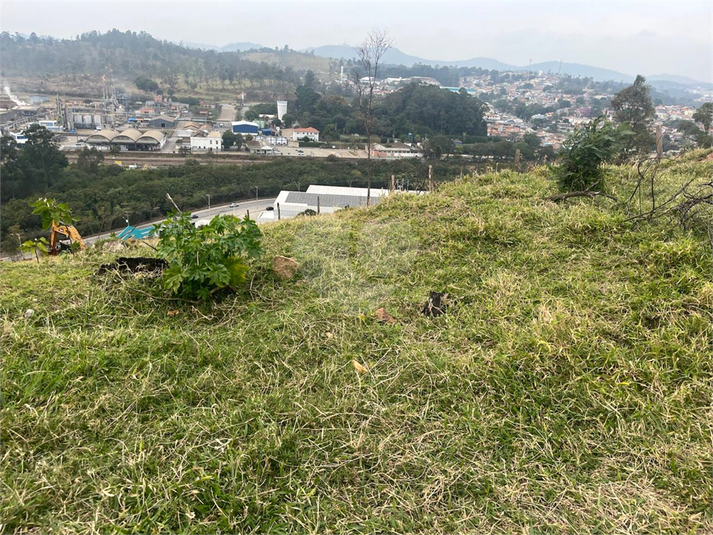 Foto REO1114466