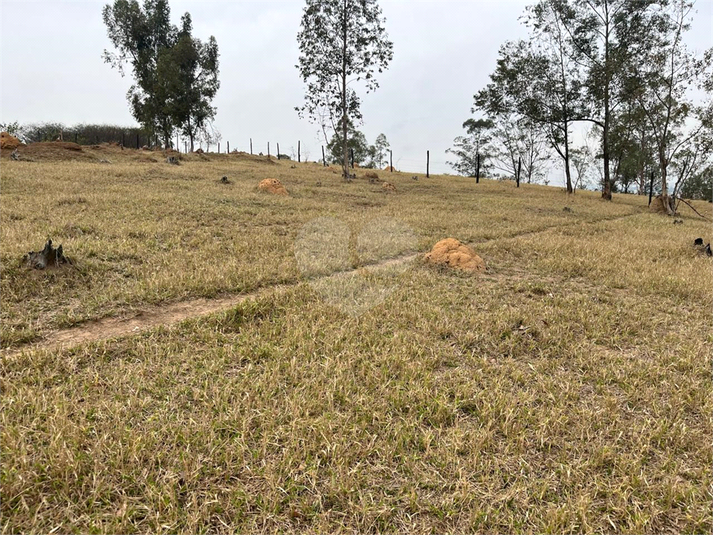 Foto REO1114466