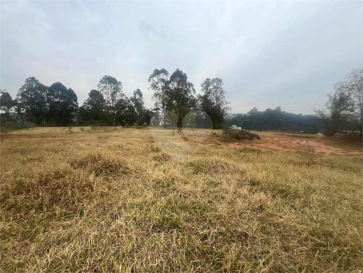Foto REO1114466
