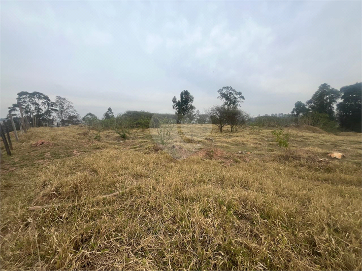 Foto REO1114466