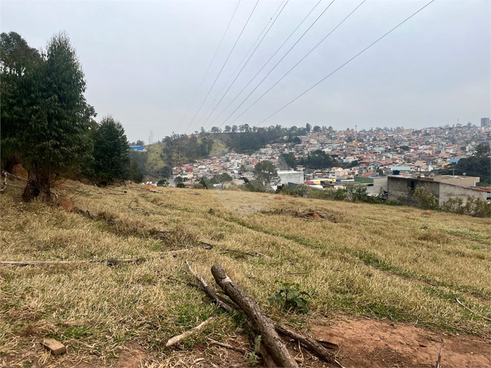 Foto REO1114466
