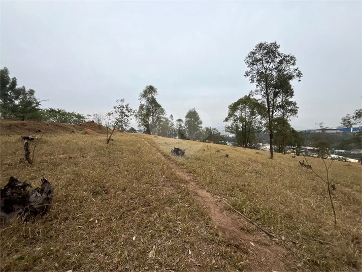 Foto REO1114466