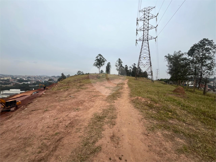 Foto REO1114466