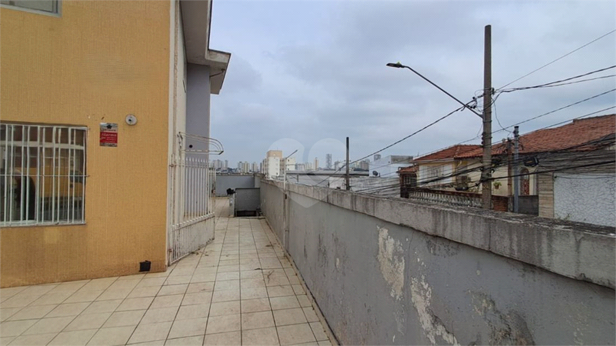 Foto REO1114478