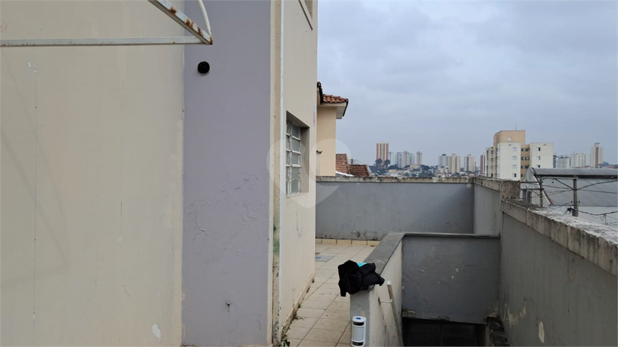 Foto REO1114478