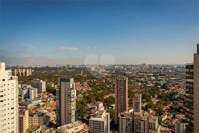Foto REO1114485
