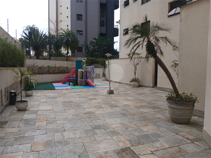 Foto REO1114487