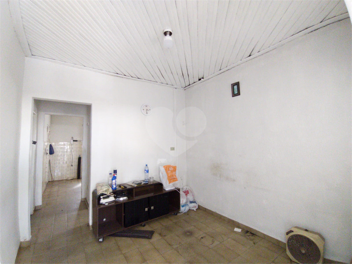 Foto REO1114488