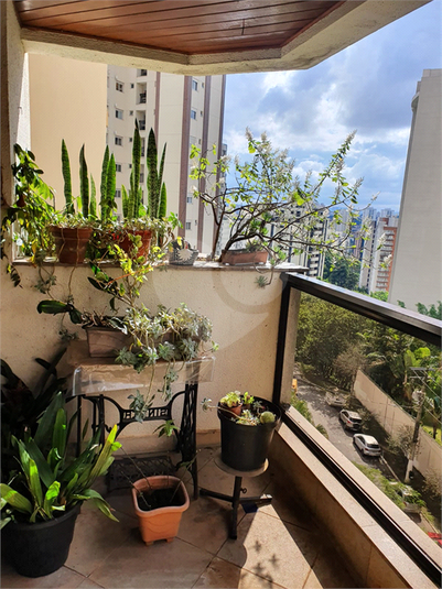 Foto REO1114497