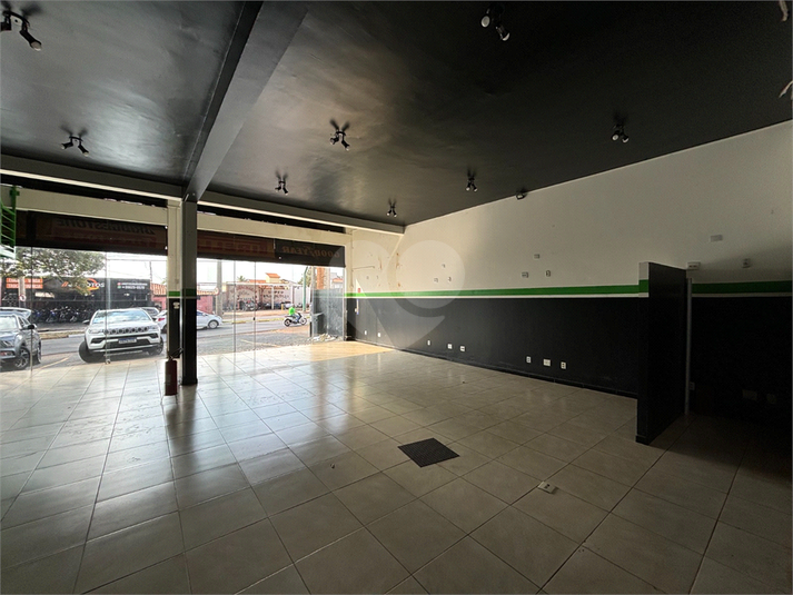 Foto REO1114499