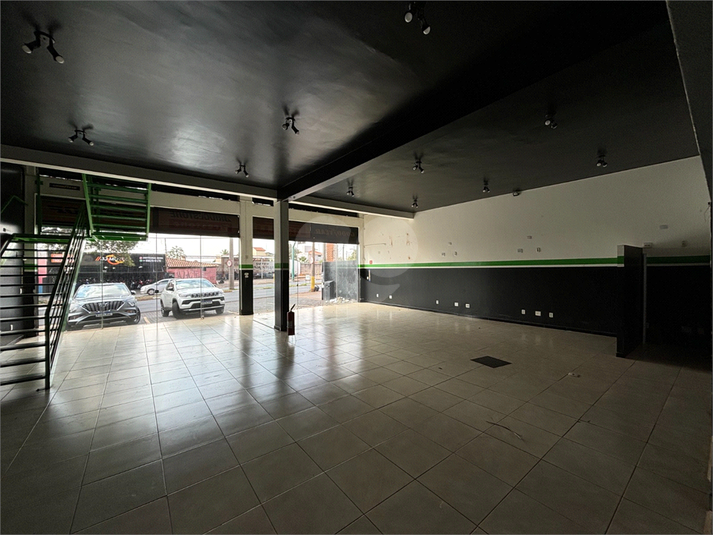 Foto REO1114499