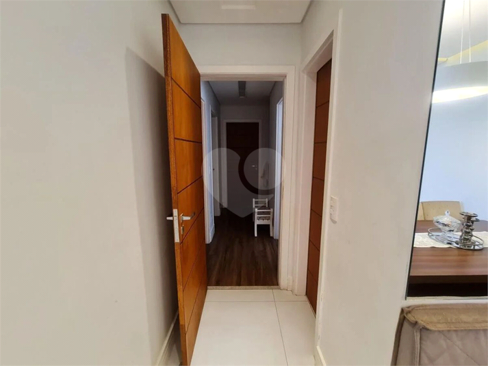 Foto REO1114504