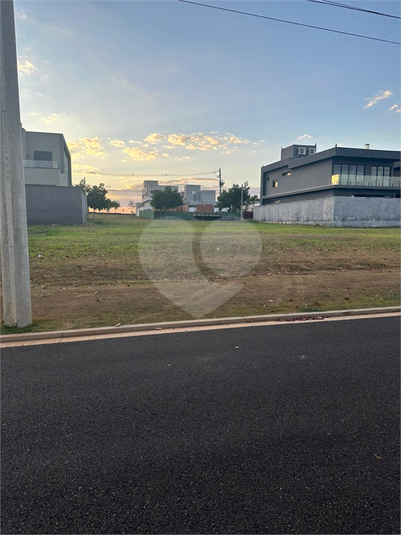 Foto REO1114508