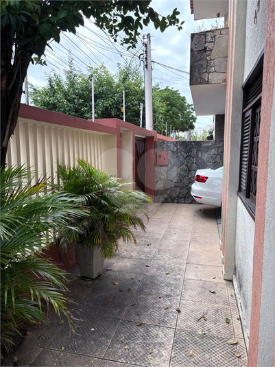 Foto REO1114509