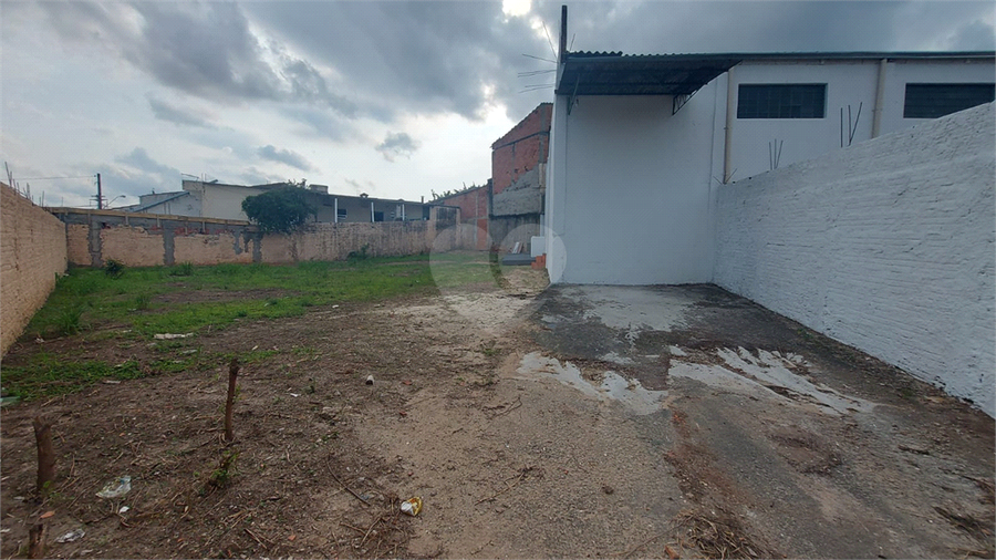 Foto REO1114513