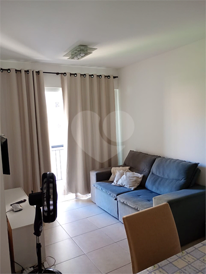 Foto REO1114516