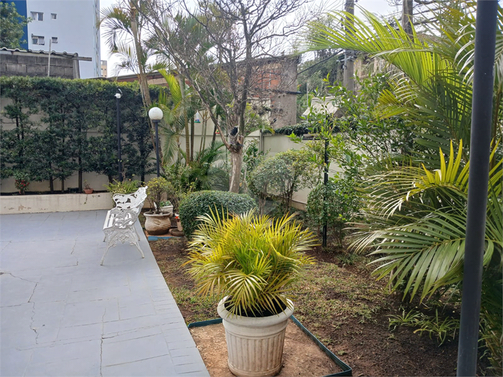 Foto REO1114517