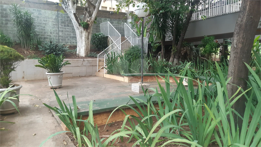 Foto REO1114520