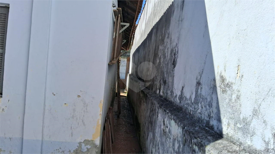 Foto REO1114526