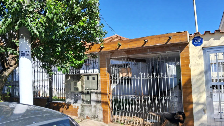 Foto REO1114526