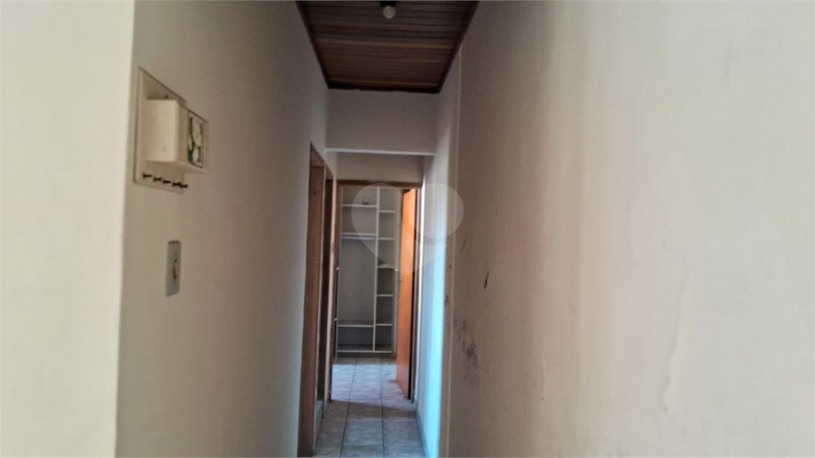 Foto REO1114526